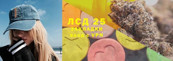PSILOCYBIN Козловка