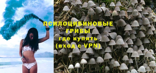 шишки Киреевск