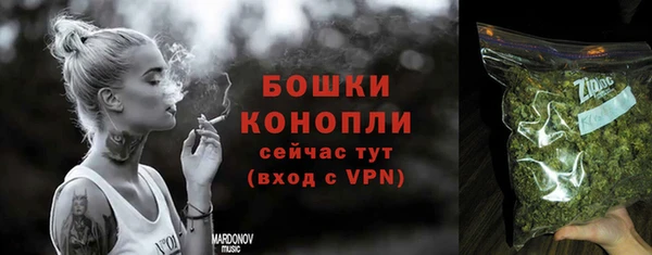 PSILOCYBIN Козловка