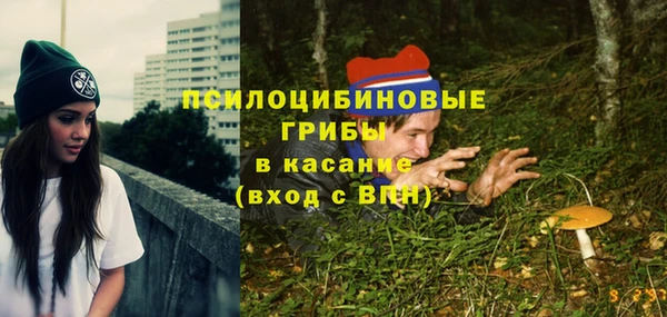 экстази Козельск
