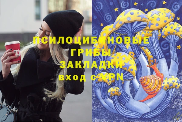 молекула духа Киренск