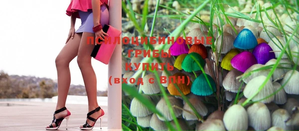 PSILOCYBIN Козловка
