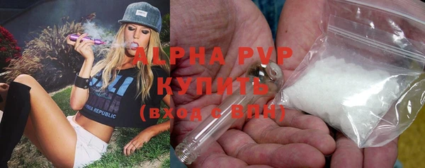 PSILOCYBIN Козловка