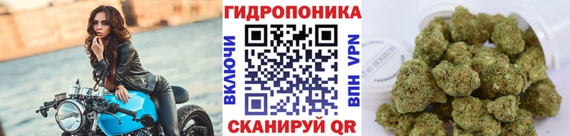 Марихуана White Widow  Купить где  Алагир 
