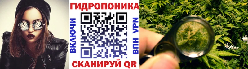 Конопля Ganja Алагир